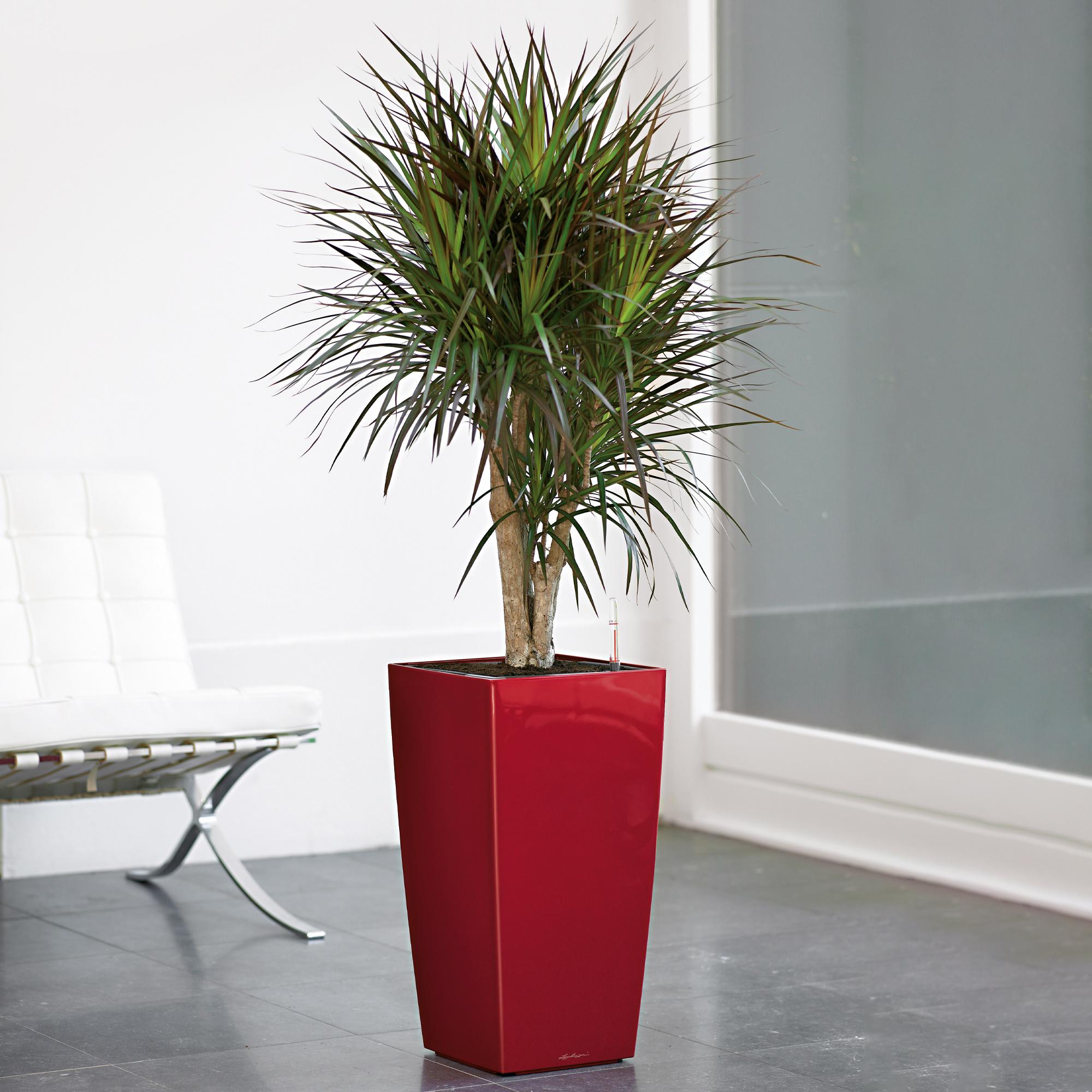 CUBICO Premium 30 charcoal metallic